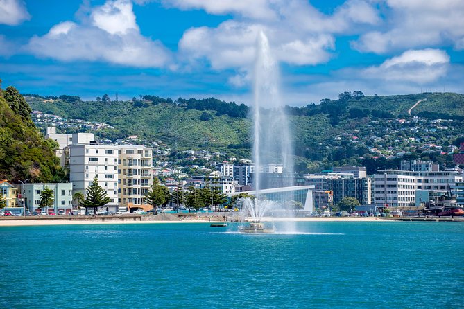 Half Day Tour of Wellington - Key things to know before you book