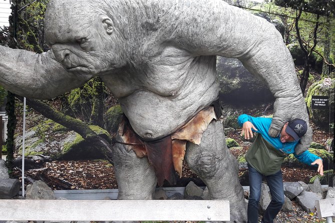 Half Day Tour of Wellington - Gardens, the Peace Flame, and a pause among city sights