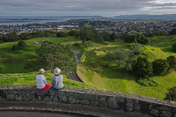 Half-Day Volcano Tour from Auckland - What the guide adds between the volcanoes