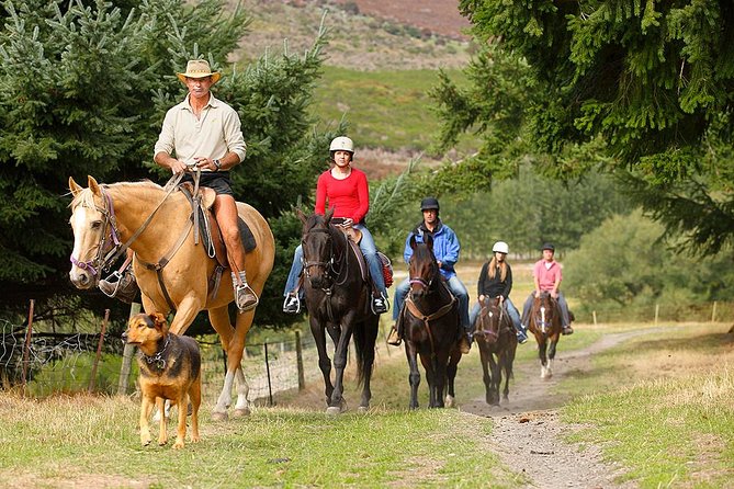 Half Day Walter Peak Horse Trek and Cruise from Queenstown - How the timing affects the value