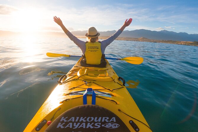 Half Day Zipline Adventure in Kaikoura - Is the $123.49 price good value?