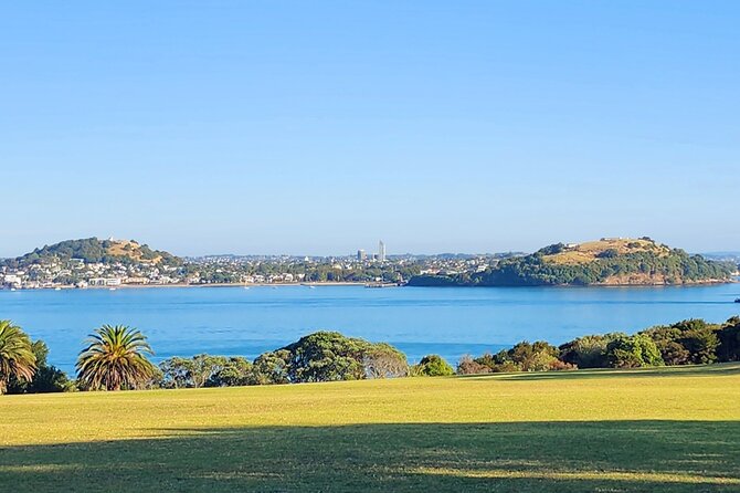 HalfDay Private Volcano Tour in Auckland Explore the City of Fire - Mount Eden ties the three volcanoes together