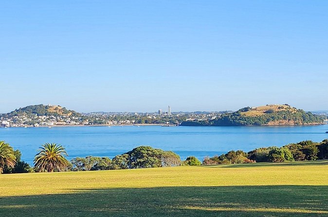 HalfDay Private Volcano Tour in Auckland Explore the City of Fire - What the private SUV adds to the experience