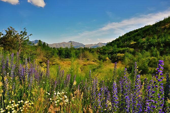 Hanmer Springs Pool Day Tour From Christchurch - Waiau and the optional rush of adventure
