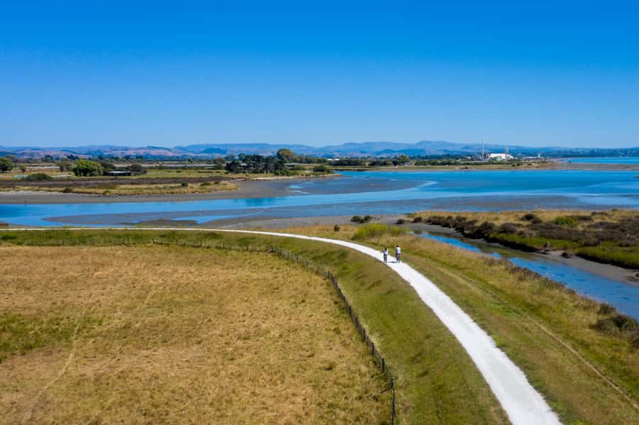 Hawke's Bay: Self Guided Coast to Vineyards Cycle Tour - Practical tips for a smoother day
