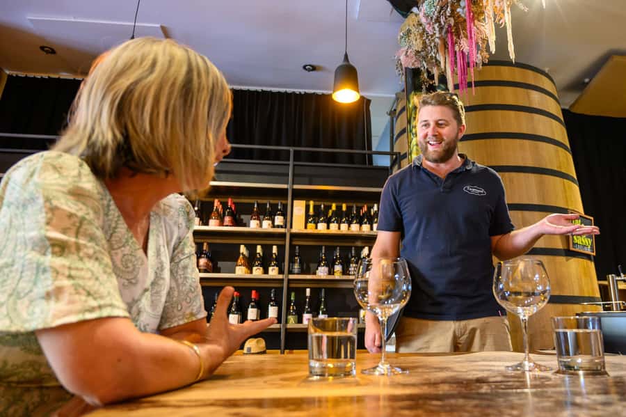 Hawkes Bay: Half-Day Wine Tour with Tastings and Cheeseboard - Why this Hawke’s Bay tour works well