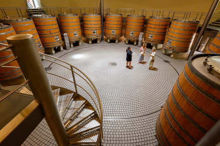 Hawkes Bay: Half-Day Wine Tour with Tastings and Cheeseboard - The cheeseboard is more useful than it sounds