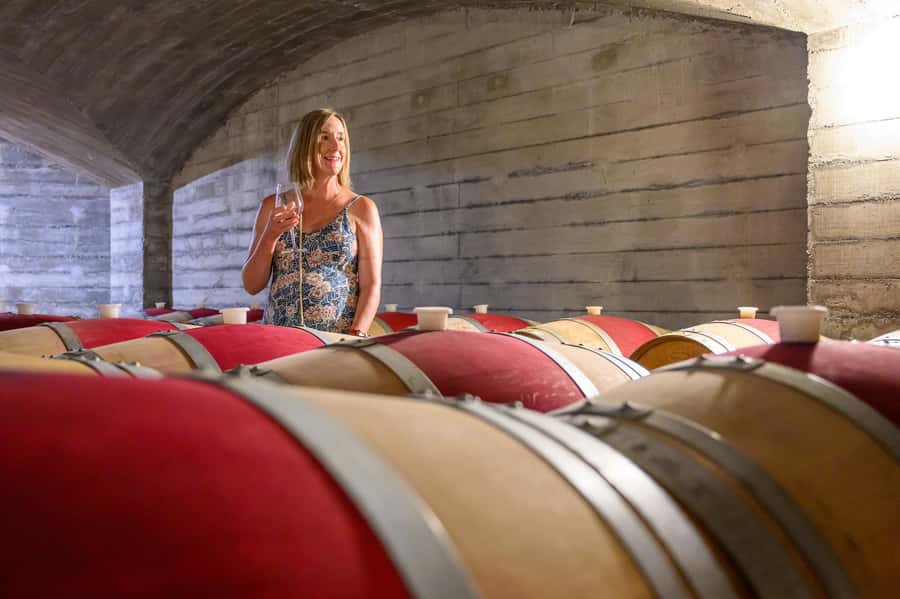 Hawkes Bay: Half-Day Wine Tour with Tastings and Cheeseboard - A scenic viewpoint near the end