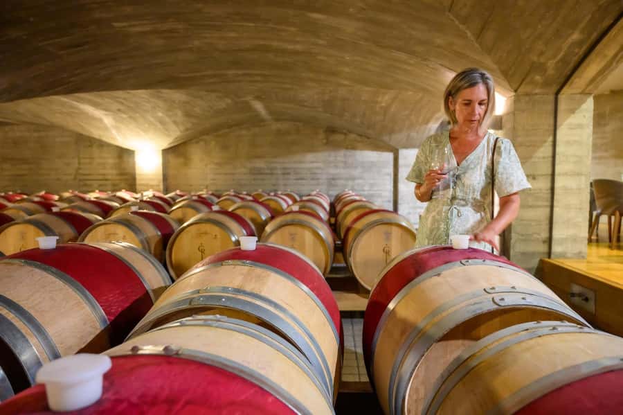 Hawkes Bay: Half-Day Wine Tour with Tastings and Cheeseboard - What $96 includes, and where the value lies