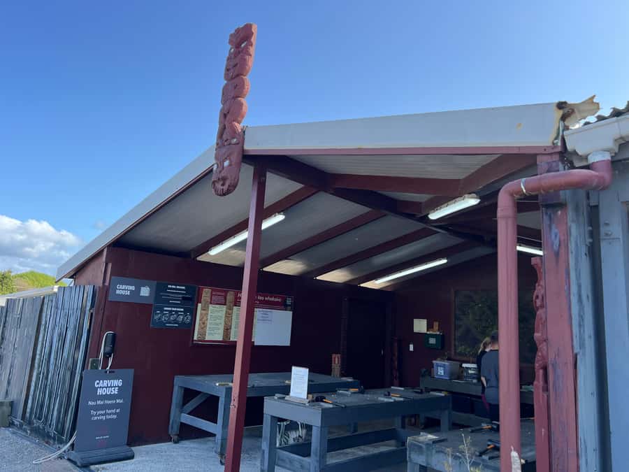 HELL'S GATE Mud Spa, Rotorua - Group Day Tour Ex Auckland - Two hours among mud pools and sulphur lakes