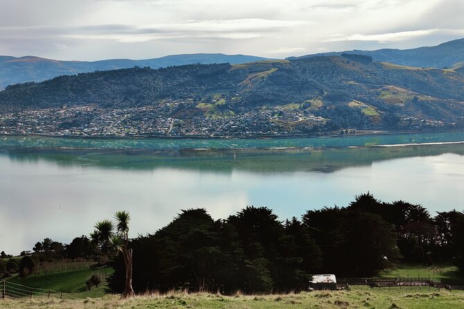 Heritage City and Larnach Castle Van tour with Historian Guide - Baldwin Street: a quick climb and a good photo stop