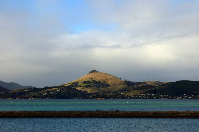 Heritage City and Larnach Castle Van tour with Historian Guide - Dunedin Railway Station: tile, mosaic, and civic pride