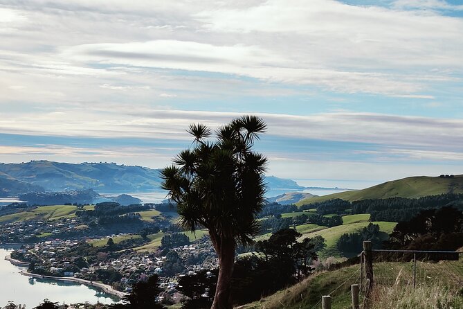 Heritage City and Larnach Castle Van tour with Historian Guide - Queens Garden and the city’s wartime memory