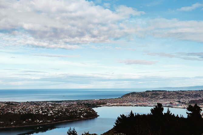 Heritage City and Larnach Castle Van tour with Historian Guide - High Street and the Devil’s Half Acre