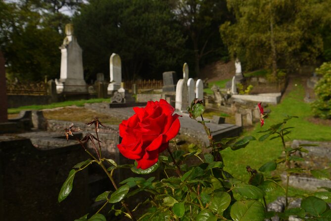 Heritage City and Larnach Castle Van tour with Historian Guide - The Northern Cemetery and the Larnach family