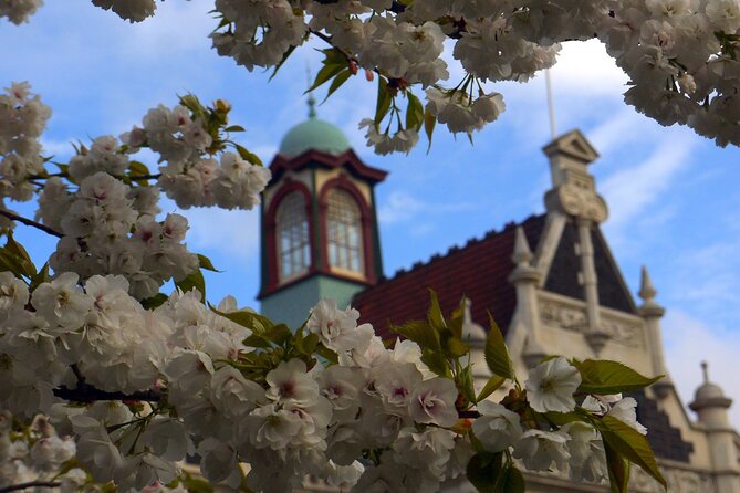 Heritage Dunedin City Walking Guided Tour - Princes Street, First Church, and Stonework With Personality