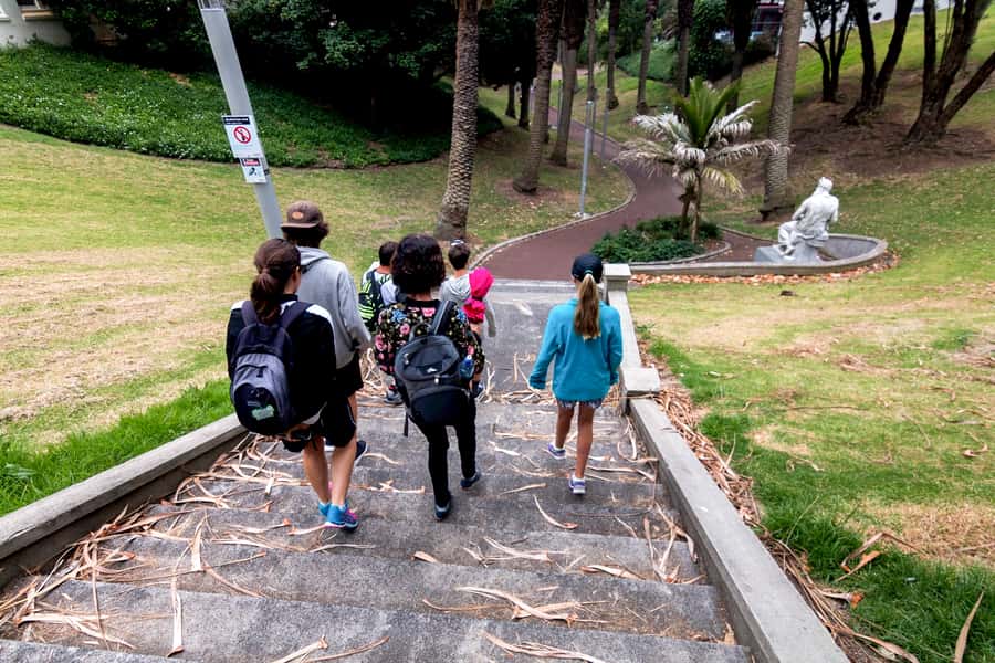 Hidden Auckland Small-Group Walking Tour - Why this is a smart first Auckland activity