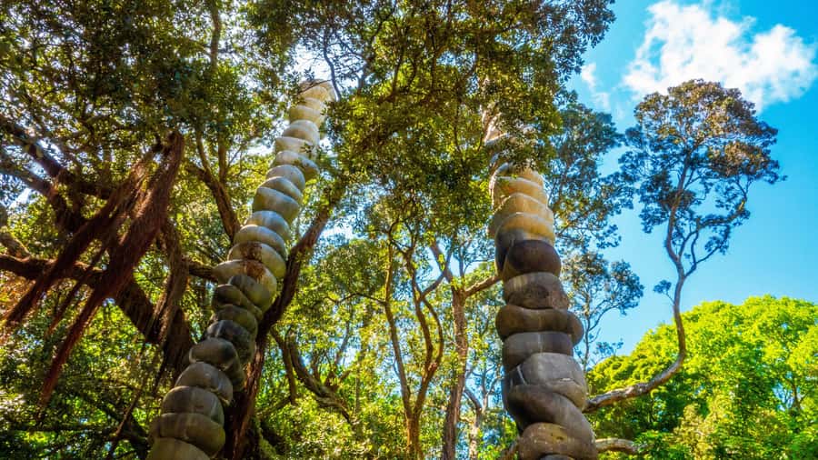 Hidden Auckland Small-Group Walking Tour - The refreshment stop and restaurant advice