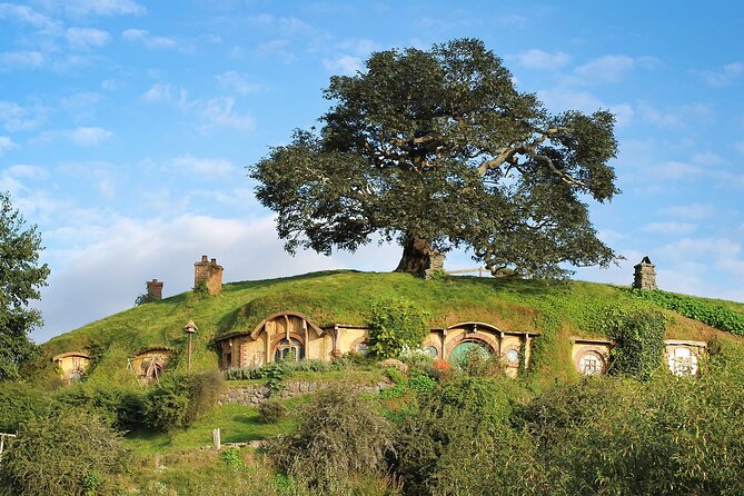 Hobbiton Day Tour from Rotorua with lunch at Hobbiton - Key things to know before booking