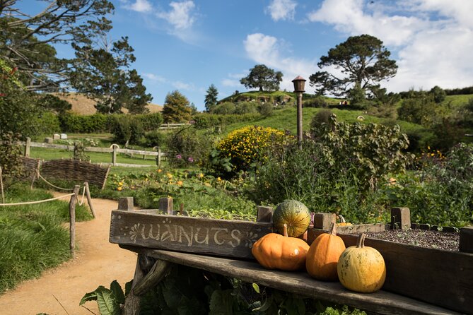 Hobbiton Day Tour from Rotorua with lunch at Hobbiton - Walking among the Hobbit holes