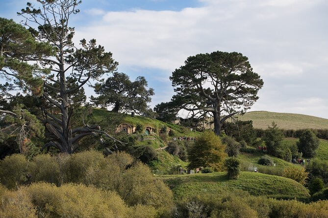 Hobbiton Day Tour from Rotorua with lunch at Hobbiton - The return trip to Rotorua