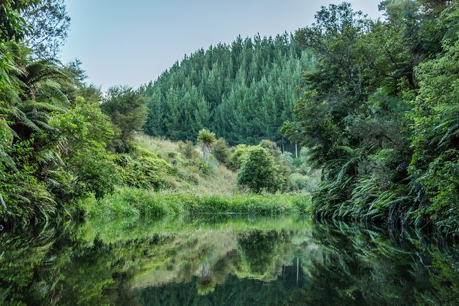 Hobbiton Day Tour from Rotorua with lunch at Hobbiton - Is $189.90 good value?