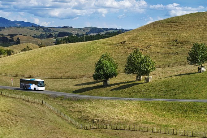 Hobbiton Day Tour from Rotorua with lunch at Hobbiton - Crossing the Waikato to Matamata