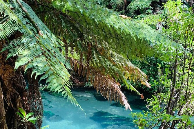 Hobbiton Movie Set & Blue Springs: Private Tour from Auckland - The Green Dragon Inn and food choices
