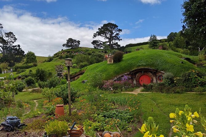 Hobbiton Movie Set Guided Day Tour with Lunch from Auckland - A light picnic lunch in the Shire