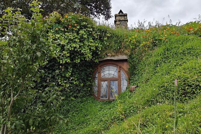 Hobbiton Movie Set Guided Day Tour with Lunch from Auckland - Is $204.79 good value from Auckland?