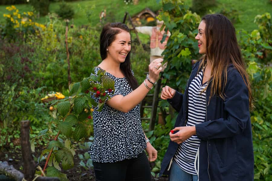 Hobbiton Movie Set & Rotorua Premium Day Tour from Auckland - Rotorua and Te Puia’s geothermal valley