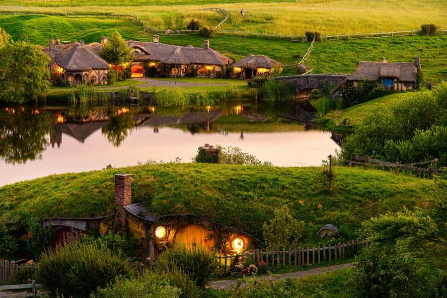 Hobbiton Movie Set & Te Puia Geothermal Valley Private Tour - The kiwi enclosure offers a brief native wildlife stop