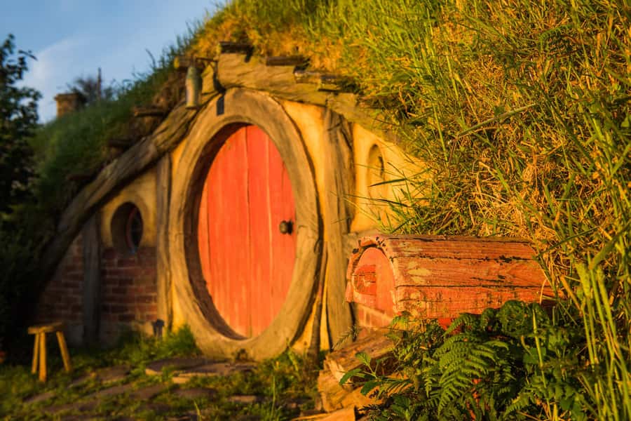 Hobbiton Movie Set & Te Puia Geothermal Valley Private Tour - Who should book this private day trip?
