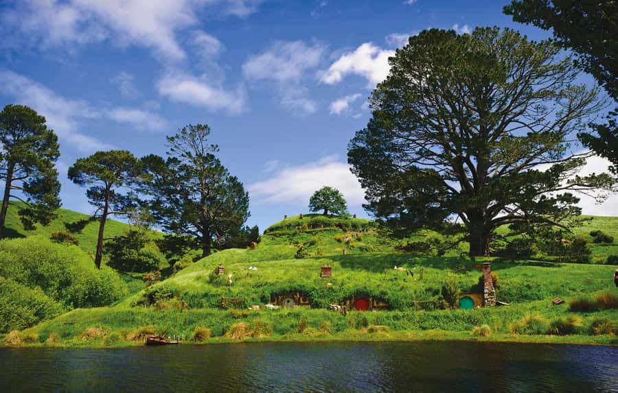 Hobbiton Movie Set & Te Puia Geothermal Valley Private Tour - The road to Rotorua changes the mood