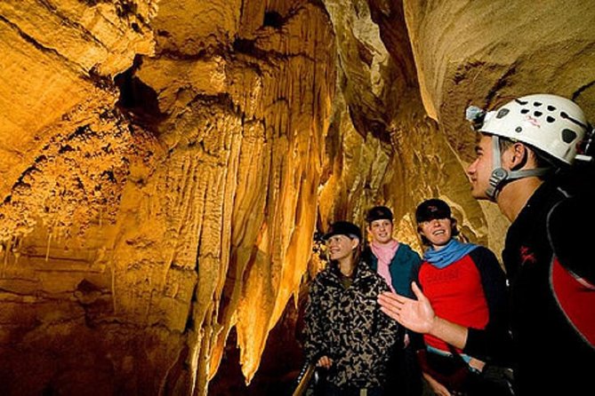 Hobbiton Movie Set Tour from Auckland - Practical advice for a smoother day