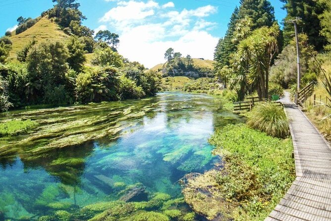Hobbiton Movie Set Tour to Blue Springs and Mineral Spa - Lunch and a pause in Tirau