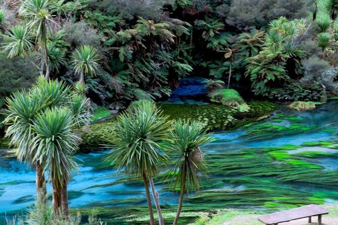 Hobbiton Movie Set Tour to Blue Springs and Mineral Spa - Is $456.12 per person fair?
