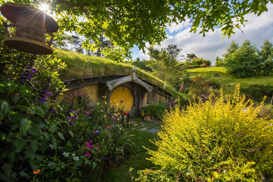 Hobbiton Movie Set Tour to Blue Springs and Waitomo caves - Key points to know before booking