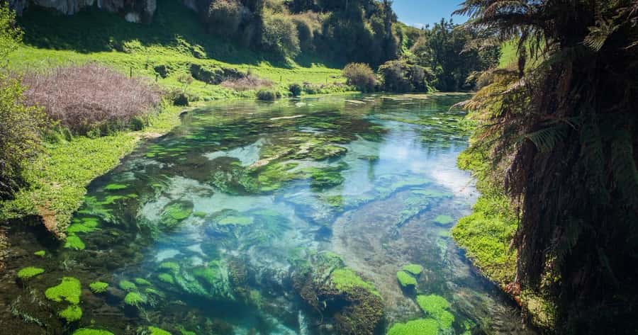 Hobbiton Movie Set Tour to Blue Springs and Waitomo caves - Who should book this trip