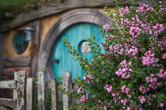 Hobbiton Movie set & Waitomo Caves Small Group Tour From Auckland - Key points before you book
