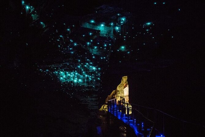Hobbiton Movie Set & Waitomo Glow Worm Caves Private Tour - A drink at The Green Dragon Inn