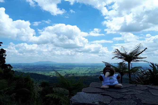 Hobbiton Transport & Tauranga Highlights Excursion from Tauranga - Guides who make the long day easier