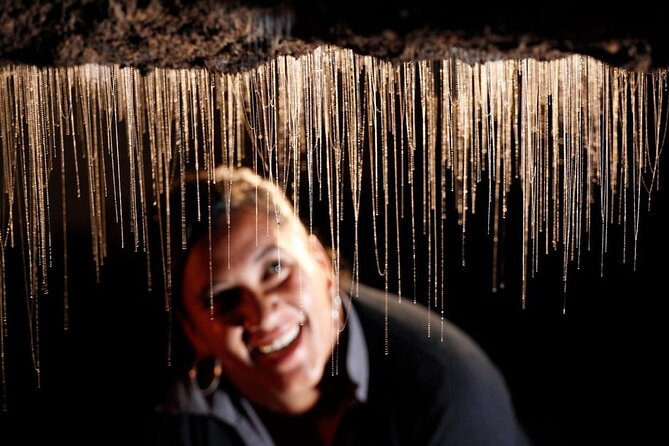 Hobbiton, Waitomo Caves and Kiwi House Day Tour From Auckland - A Short Stop At Otorohanga Kiwi House