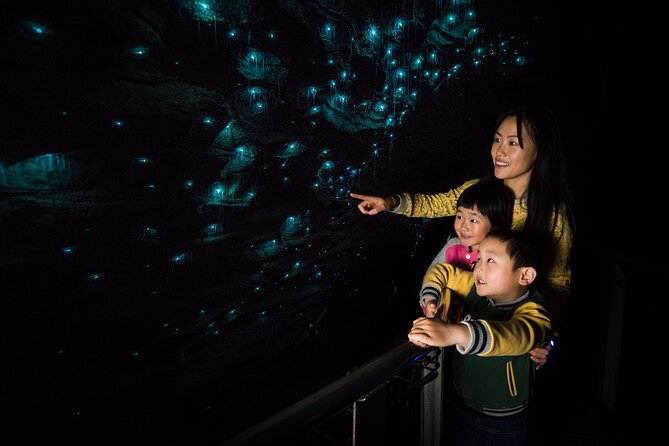 Hobbiton, Waitomo Caves and Kiwi House Day Tour From Auckland - The Return Through The Waikato