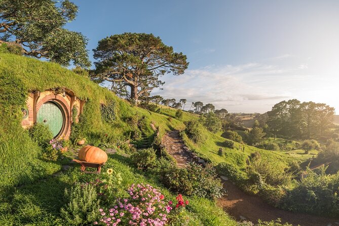 Hobbiton, Waitomo Caves and Kiwi House Day Tour From Auckland - Lunch In The Waitomo District