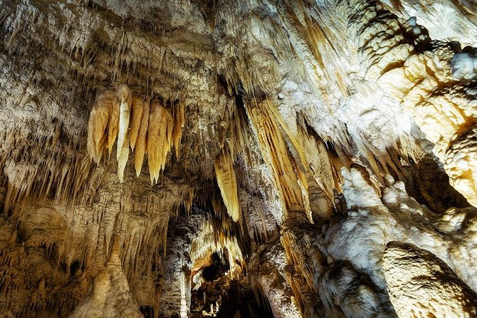 Hobbiton & Waitomo Caves Small Group Tour from Auckland inc Lunch - The long ride back to Auckland