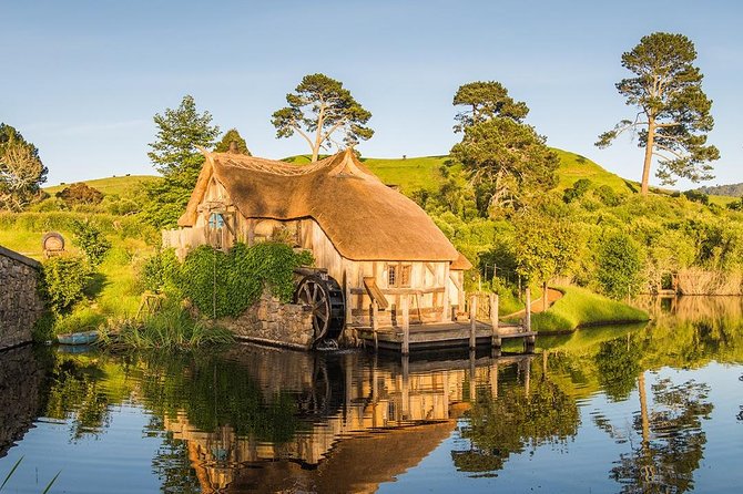 Hobbiton & Waitomo Caves Small-Group Tour W Lunch from Auckland - What the guide adds to the day