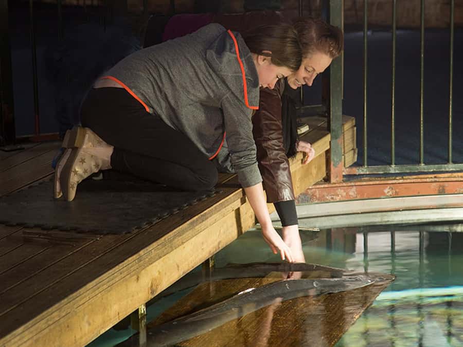 Hokitika: The National Kiwi Centre Tickets - Why Hokitika’s kiwi centre is worth your time