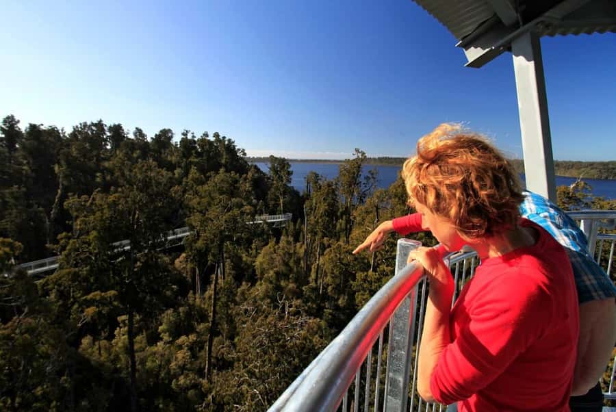 Hokitika: West Coast Tree Top Tower Zip Line and Walk - Key points to know before you book