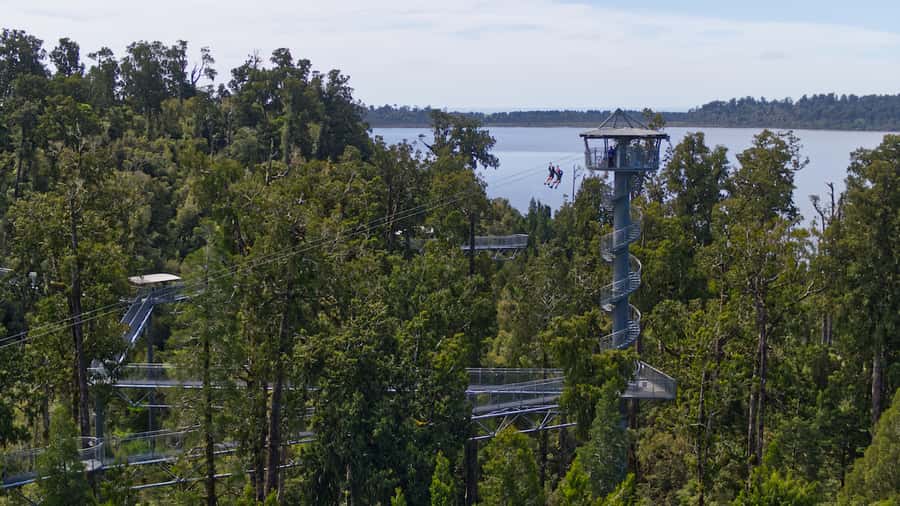 Hokitika: West Coast Tree Top Tower Zip Line and Walk - Climbing the 106-step spiral tower